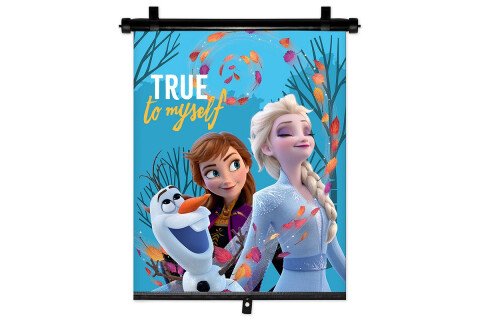 Απόχρωση 1 τεμάχιο 36x45cm FROZEN 2
