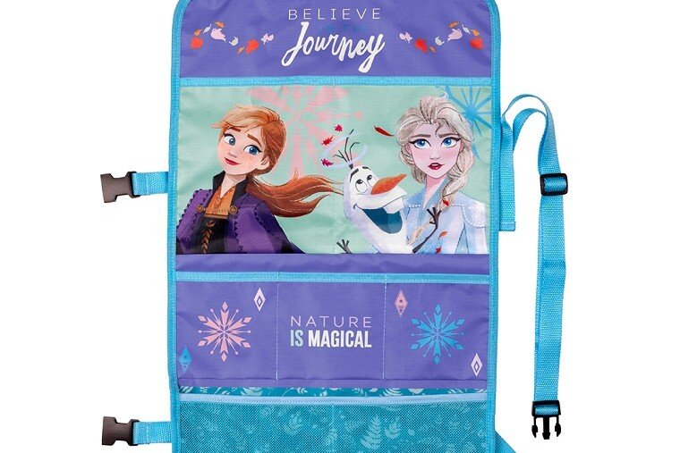 Organizator FROZEN 2