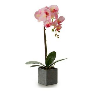 Ukrasna Biljka Orhideja 15 x 43 x 18 cm Plastika
