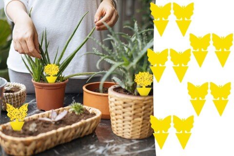 Αυτοκόλλητες παγίδες μυγών FlyHold, 10 τεμάχια