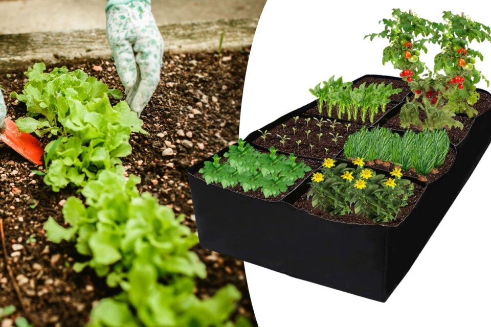 Podignuta baštenska gredica od tkanine SproutSphere, 120x62 cm