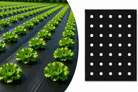 Vrtna podloga Florvex za rast brez plevela, 0,95x10m