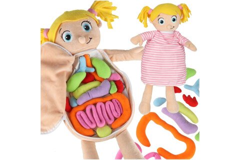 Maskotka dziewczynki ucząca się anatomii dziewczynki