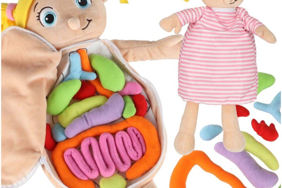 Maskotka dziewczynki ucząca się anatomii dziewczynki