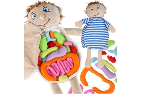 Maskot pre učenie anatómie chlapca, bábka