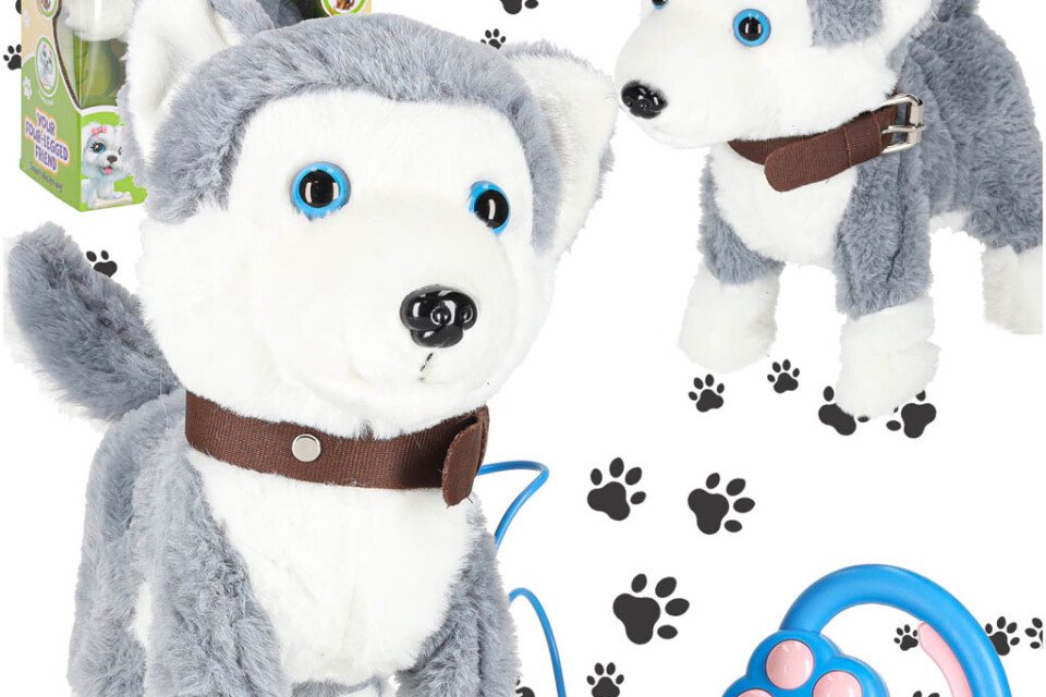 Interaktywny pies na smyczy szczeka, chodzi, merda ogonem Husky