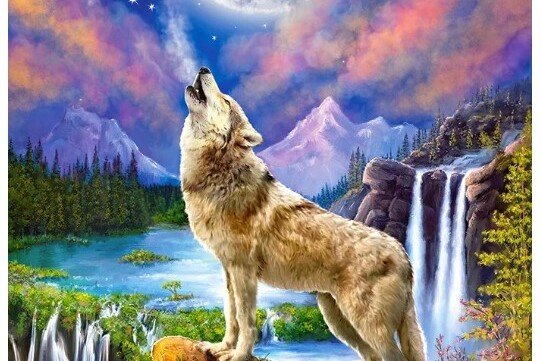 CASTORLAND Puzzle 1500 Teile - Wolf, 68 x 47 cm