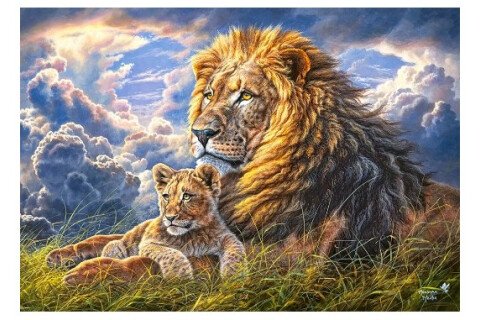 CASTORLAND Puzzle 1000 pezzi - leone, 68 x 47 cm