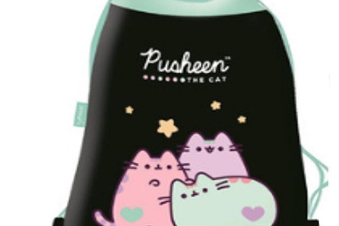 Pastelová taška na boty Pusheen pro děti