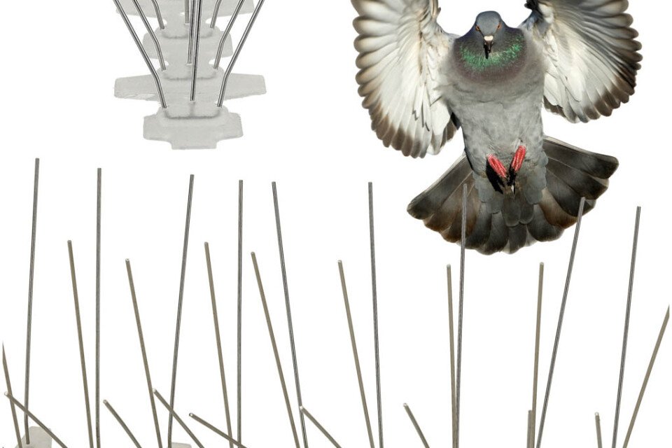 Metallspikes für Vögel – 50 cm x 11 cm x 4 cm