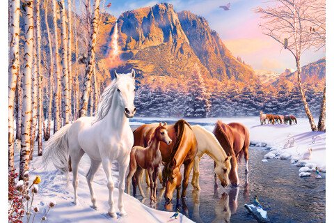 Puzzle CASTORLAND - 500 dílků, Koně