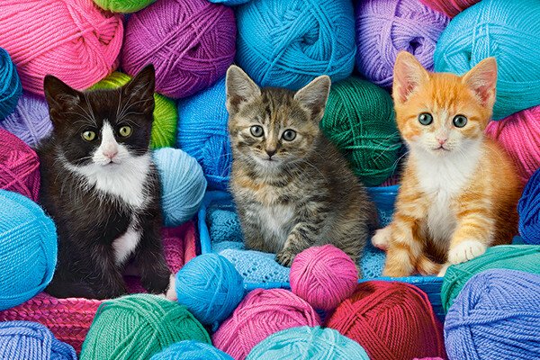 Puzzle CASTORLAND - 300 dílků, kočky