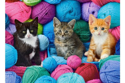 Puzzle CASTORLAND - 300 dílků, kočky