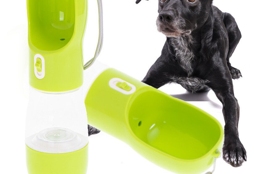 Borraccia portatile per acqua e cibo per cani, verde
