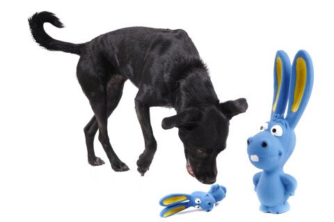 Zabawka do żucia dla psa - gumowy królik