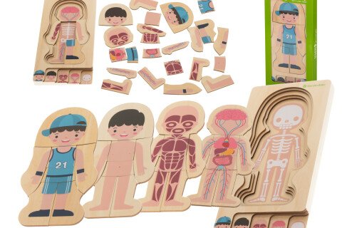 Drewniane puzzle dla dzieci, ludzkie ciało