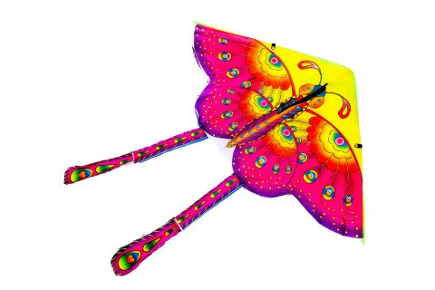 Grande drago - farfalla di colori misti