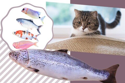 Gioco per gatti AmusingFish, a forma di pesce