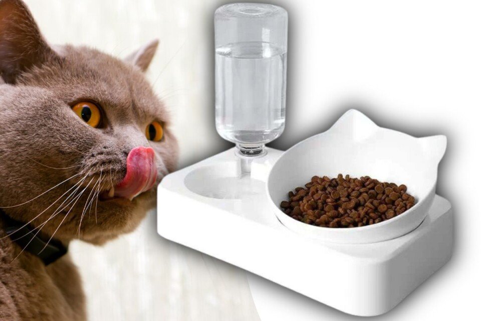 Posoda za mačke CatBowl z rezervoarjem za vodo