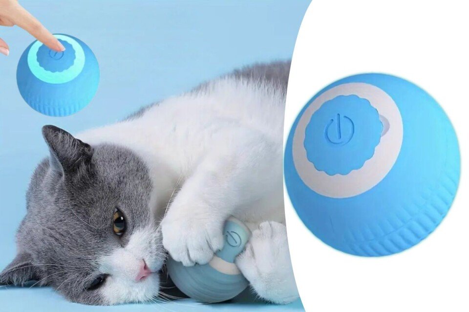 PetBall Samopokretna lopta/igračka za kućne ljubimce, USB