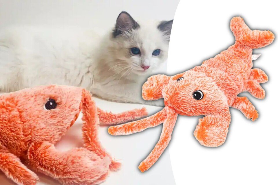 PetoyLob, interaktywna zabawka dla zwierząt w kształcie kraba