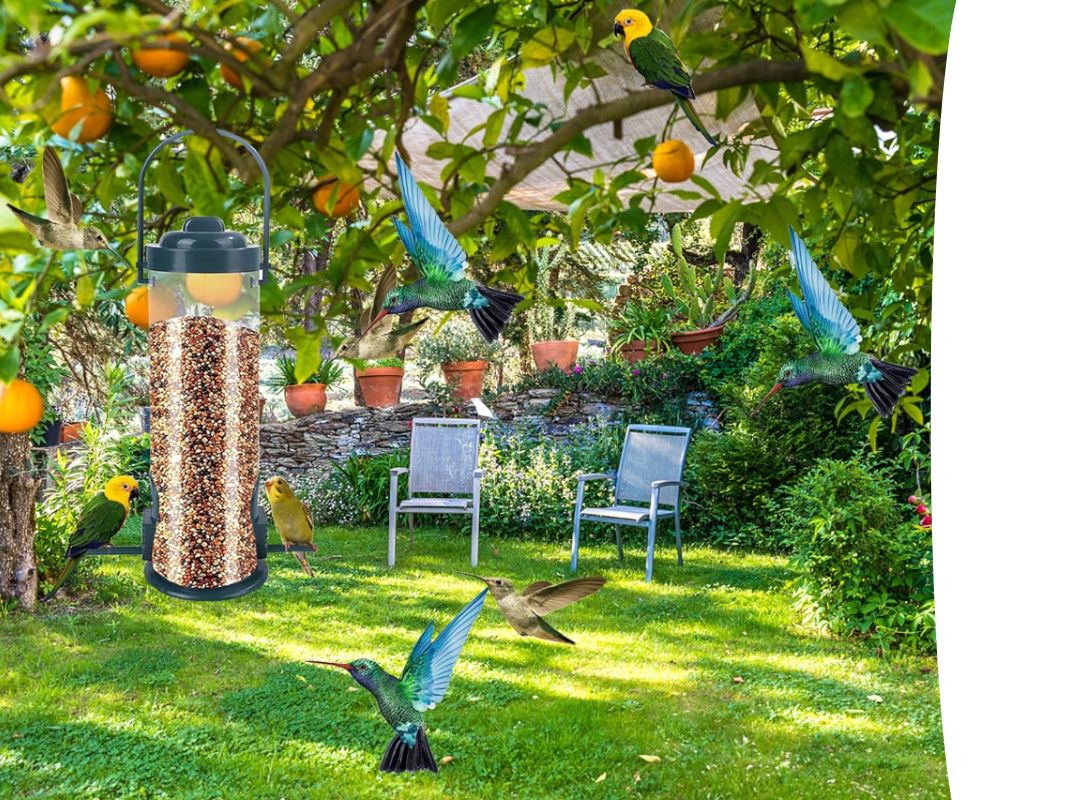 吸引更多鸟类来到你的花园