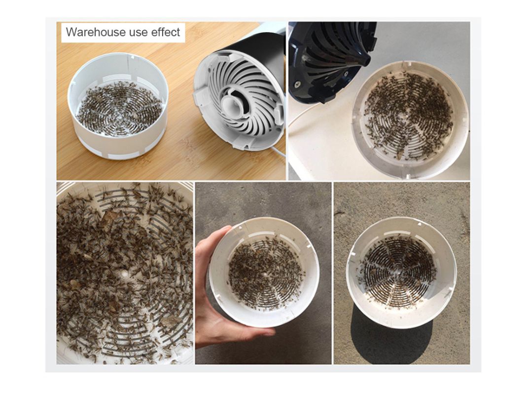 Cleaning insect traps